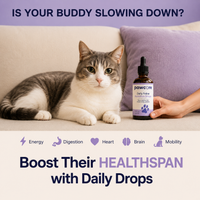 Daily Feline Nutrition Drops